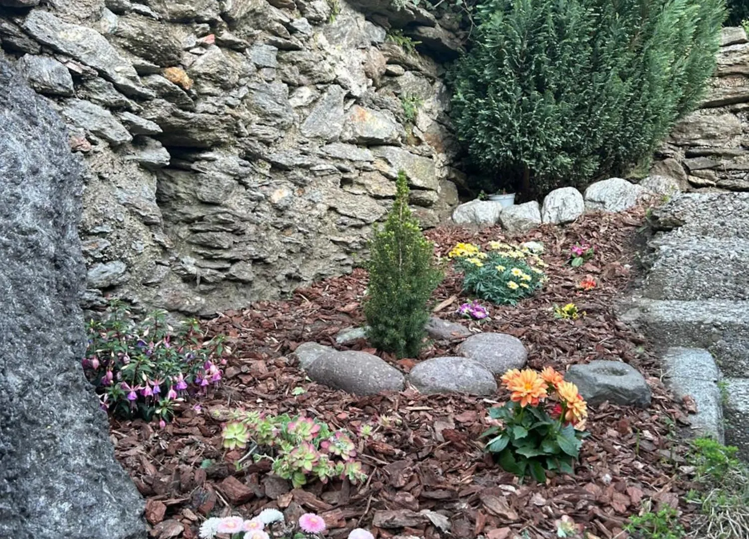 Casa Tartaruga Villa Olgiasca Holiday home